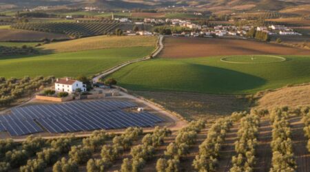 Mercado de fincas rústicas en España